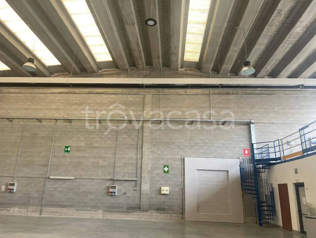 immagine annuncio 10 di 14