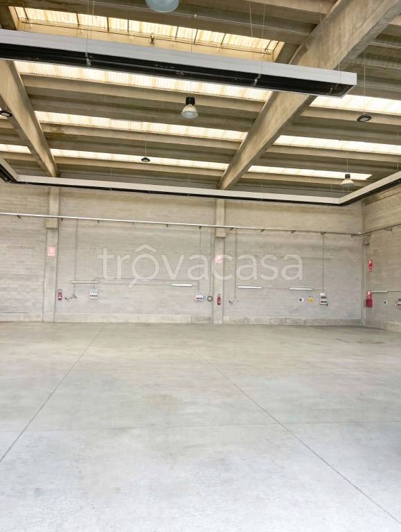 immagine annuncio 13 di 14