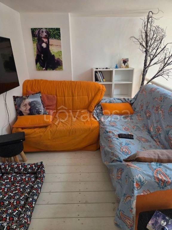 immagine annuncio 10 di 14