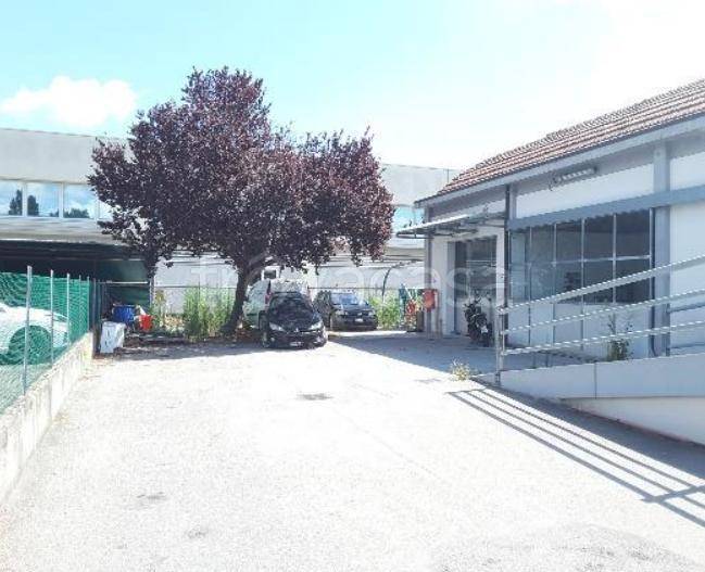 immagine annuncio 9 di 13