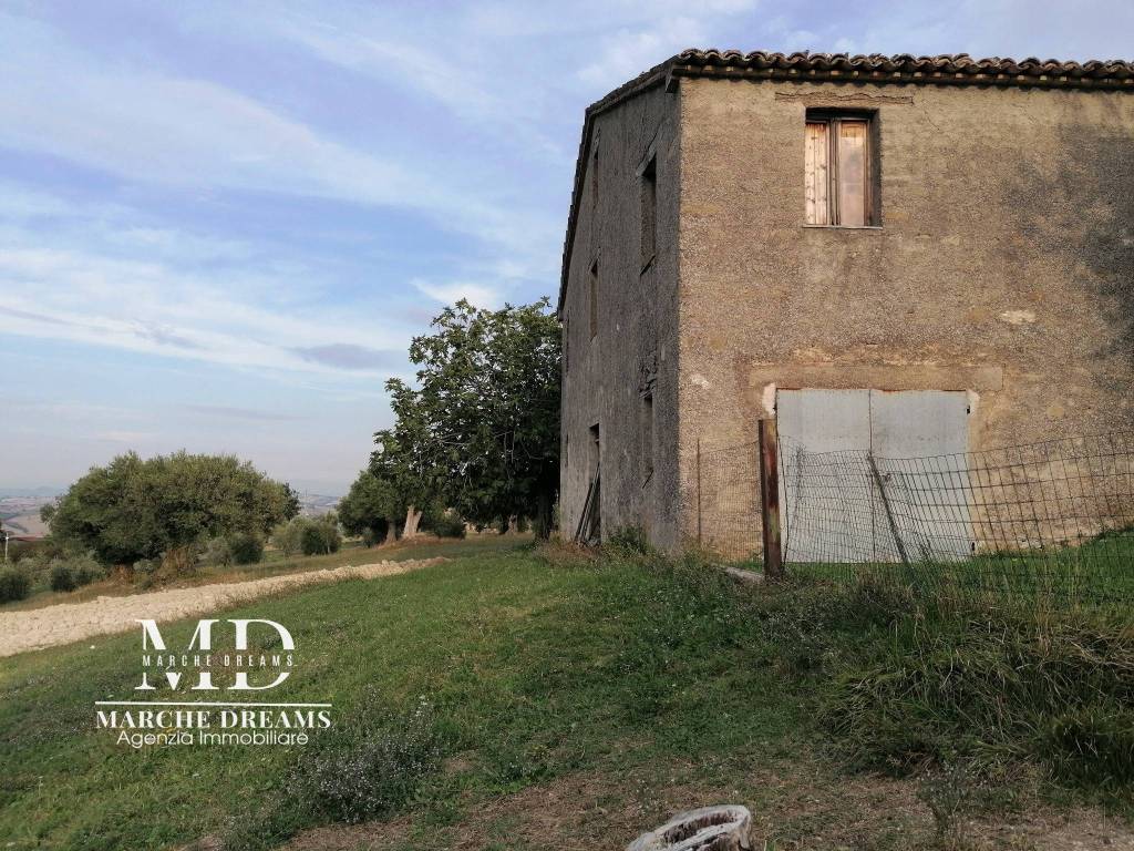 immagine annuncio 2 di 6