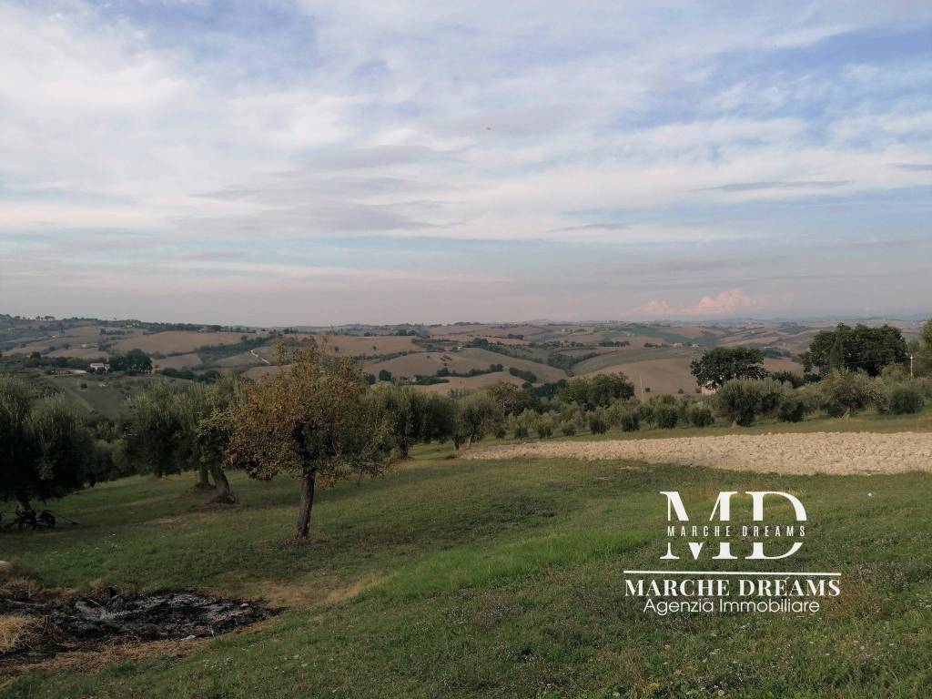 immagine annuncio 3 di 6