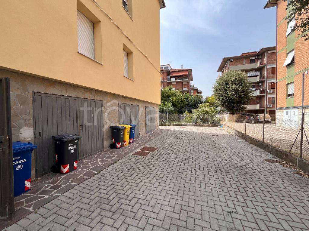 immagine annuncio 5 di 15