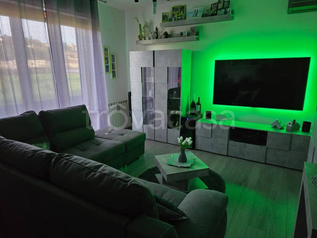 immagine annuncio 10 di 15