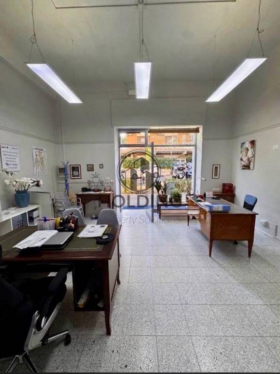 immagine annuncio 1 di 14