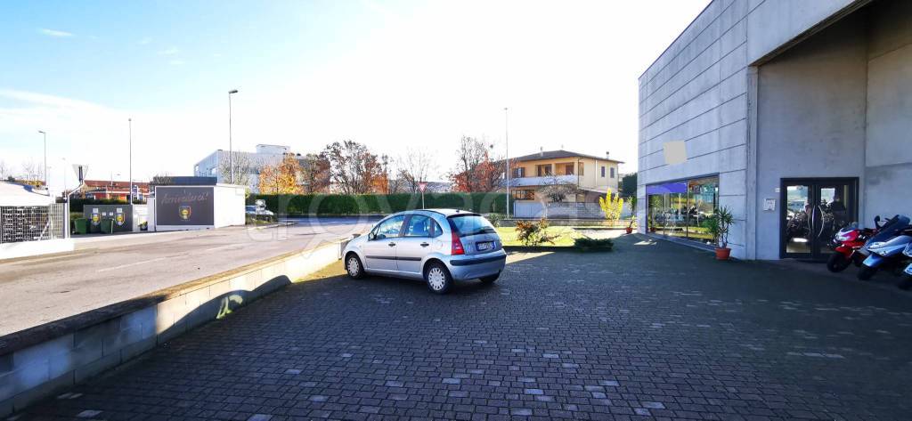 immagine annuncio 1 di 12