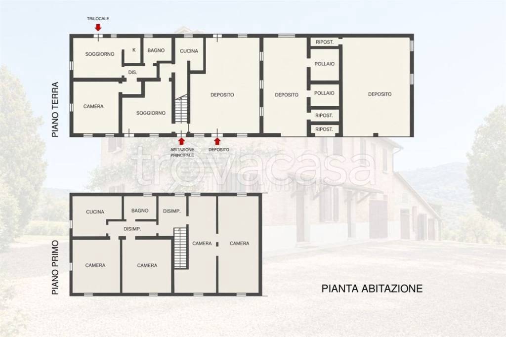 immagine annuncio 12 di 13