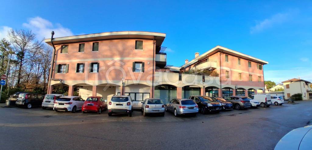 immagine annuncio 2 di 14