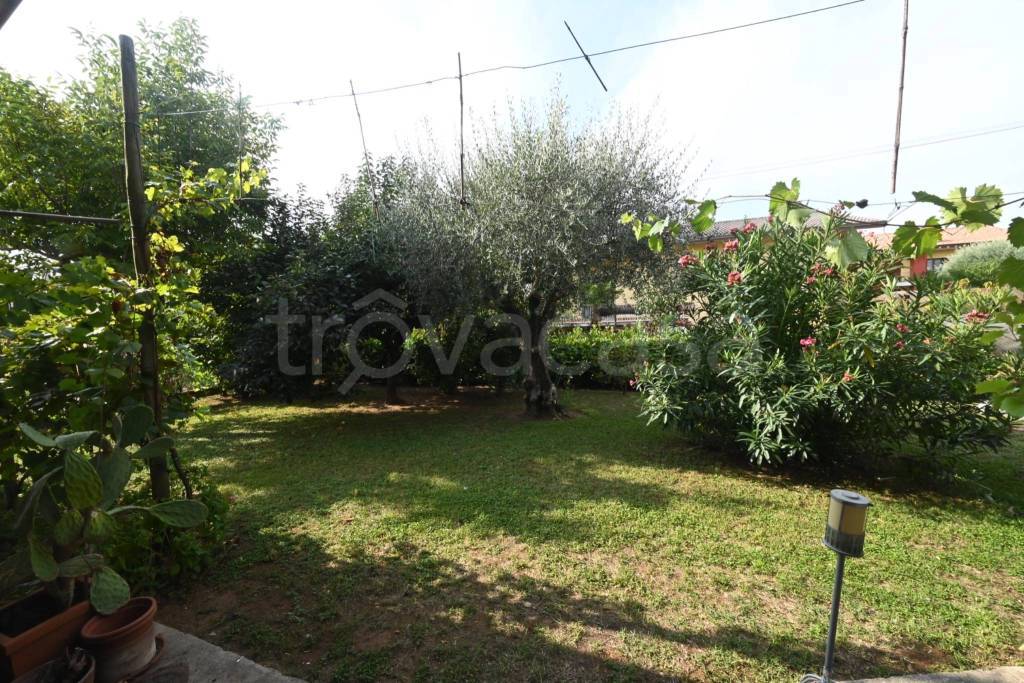 immagine annuncio 10 di 11