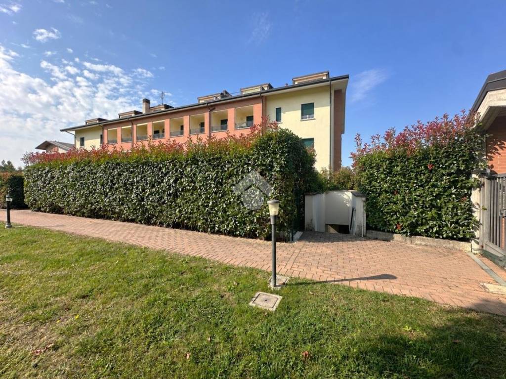 immagine annuncio 1 di 15