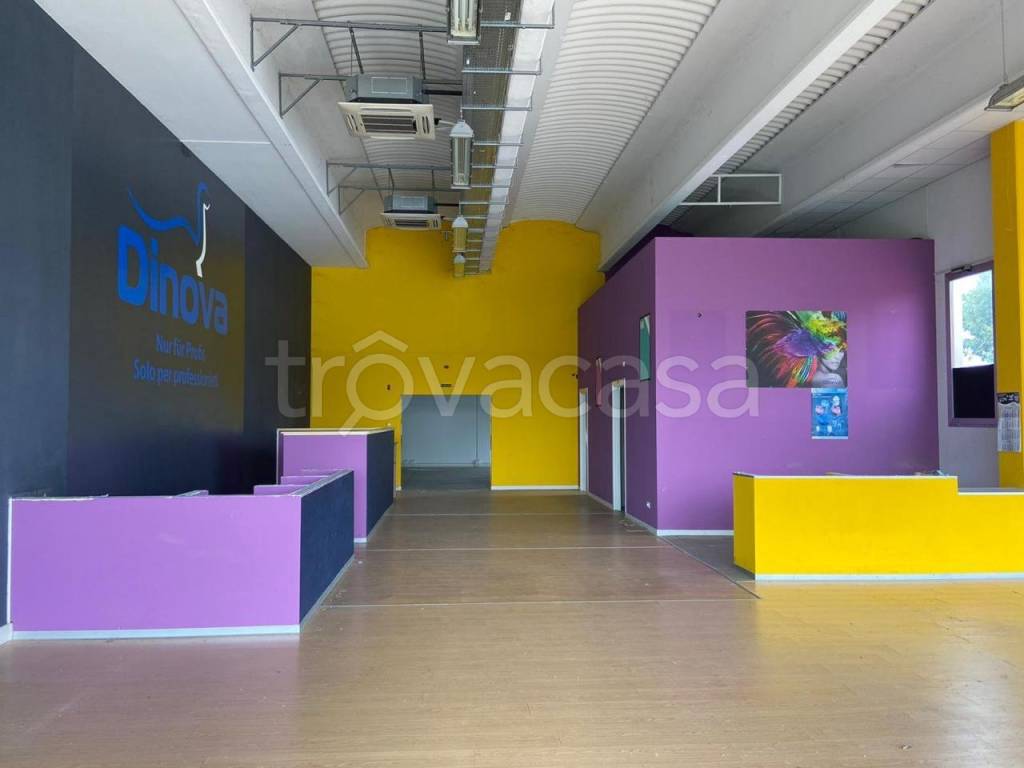 immagine annuncio 6 di 14