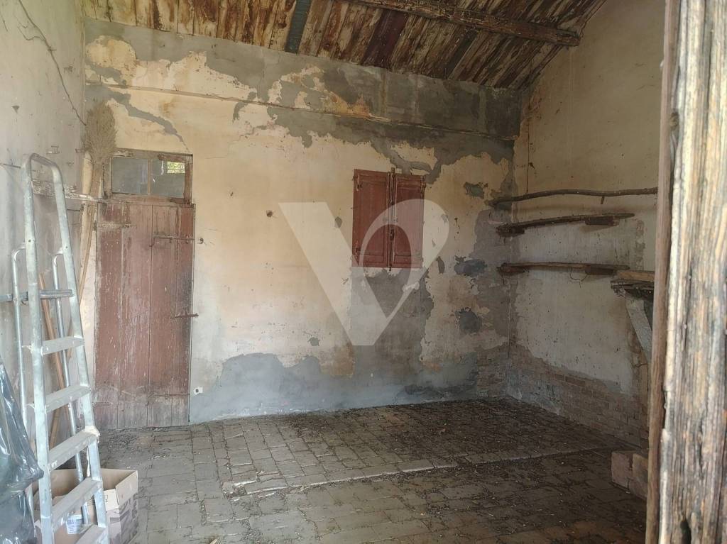 immagine annuncio 9 di 12