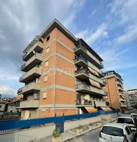 immagine annuncio 8 di 13
