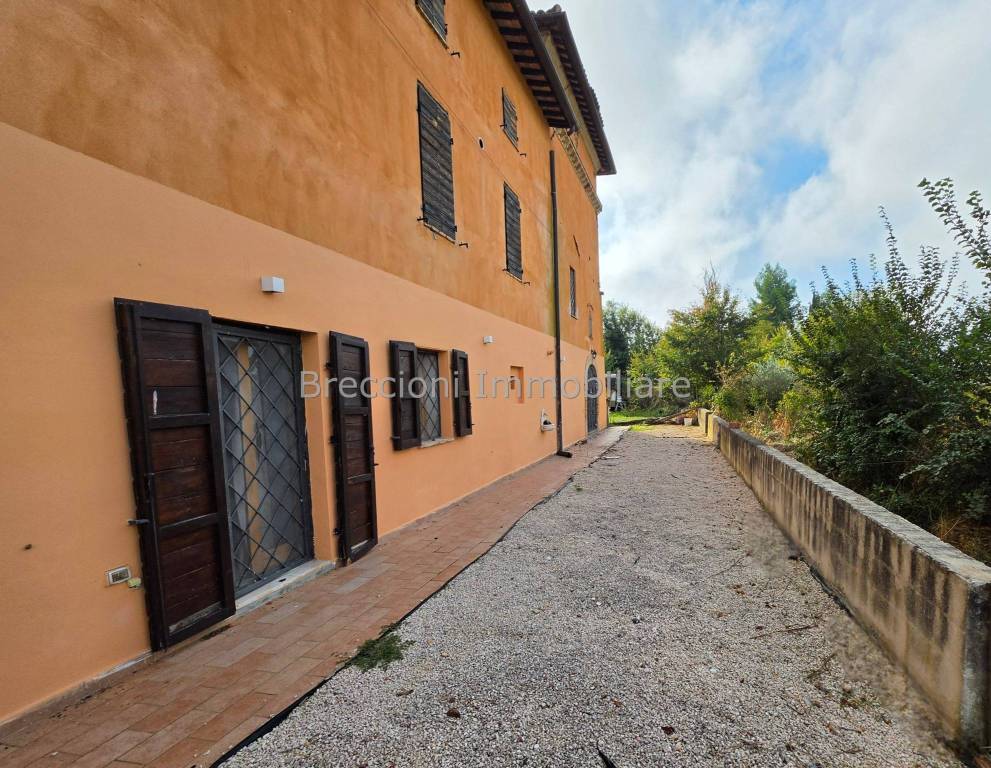immagine annuncio 11 di 14