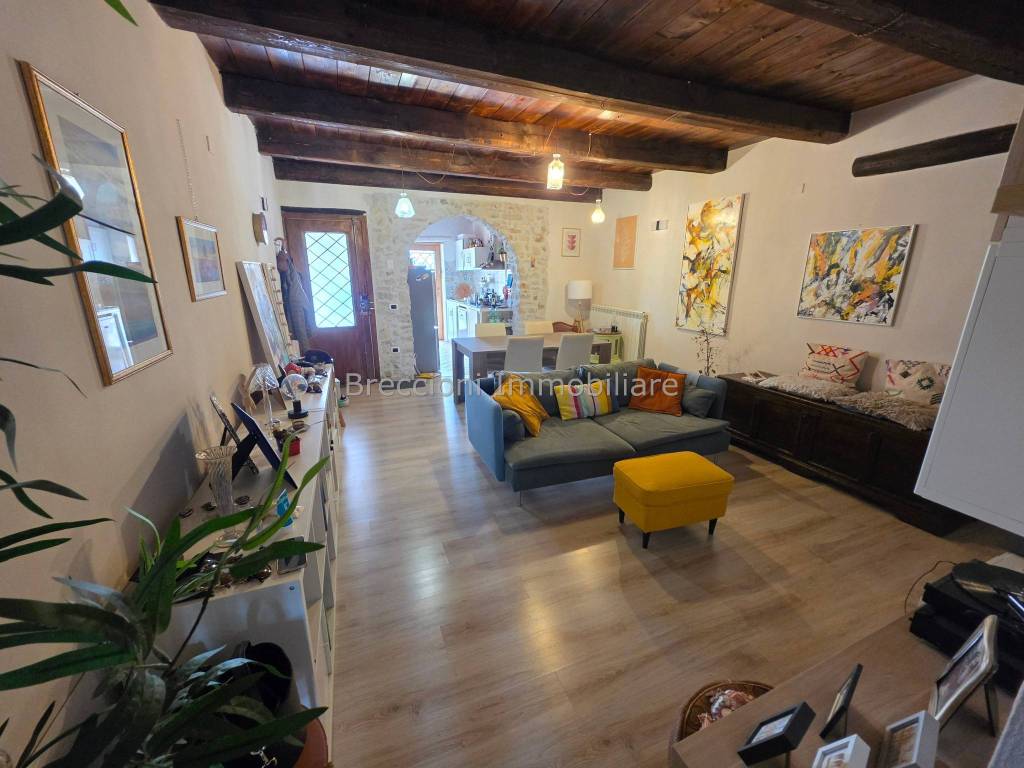 immagine annuncio 3 di 14