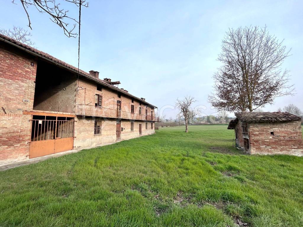 immagine annuncio 7 di 15