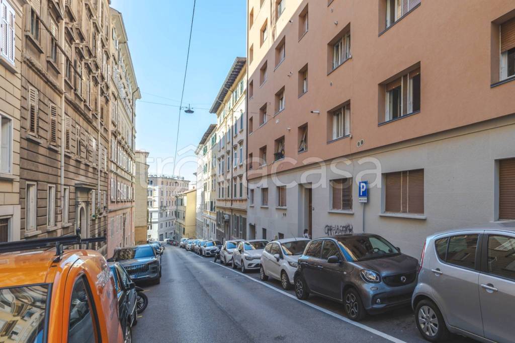 immagine annuncio 4 di 14