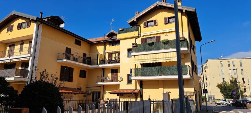 immagine annuncio 4 di 6