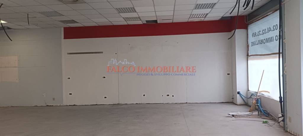 immagine annuncio 6 di 11