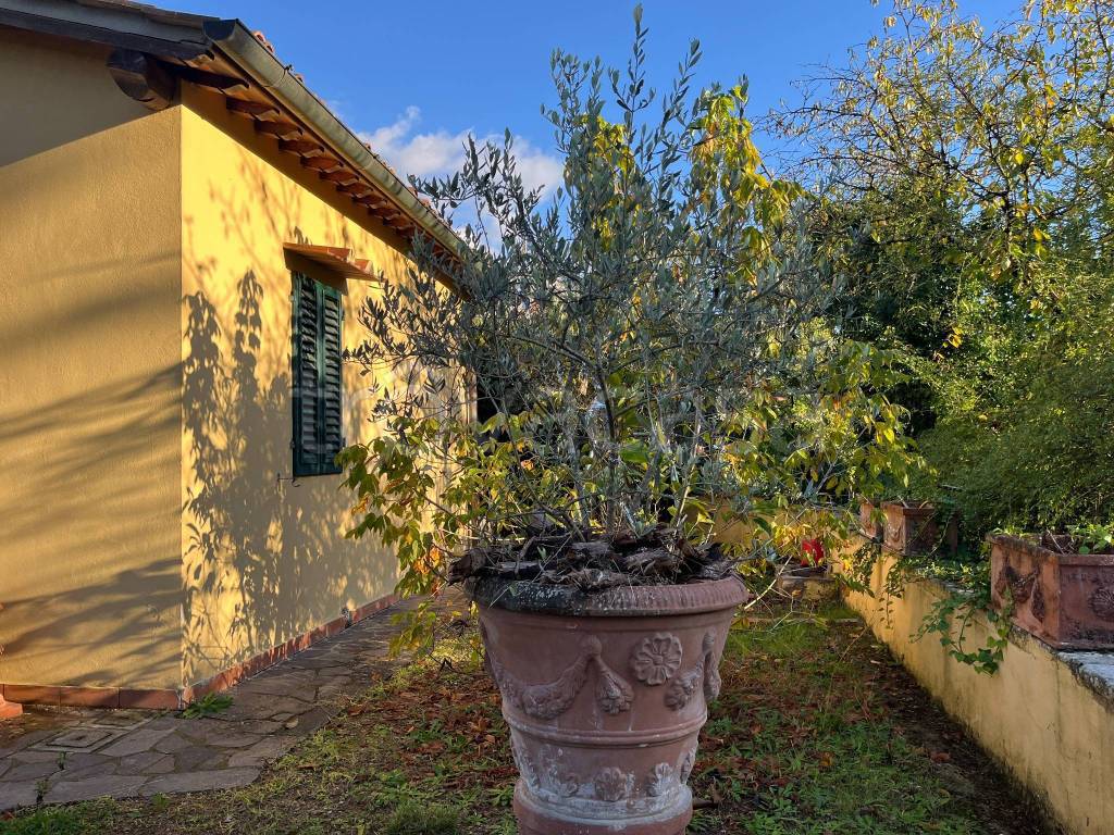 immagine annuncio 4 di 11