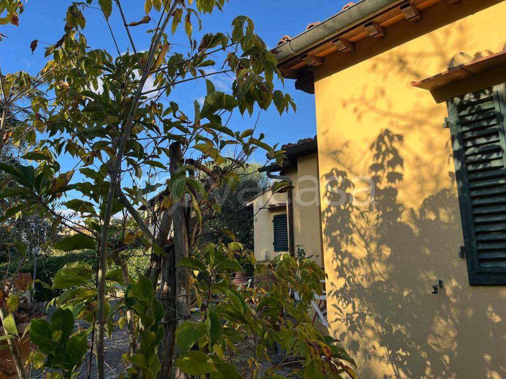immagine annuncio 6 di 11