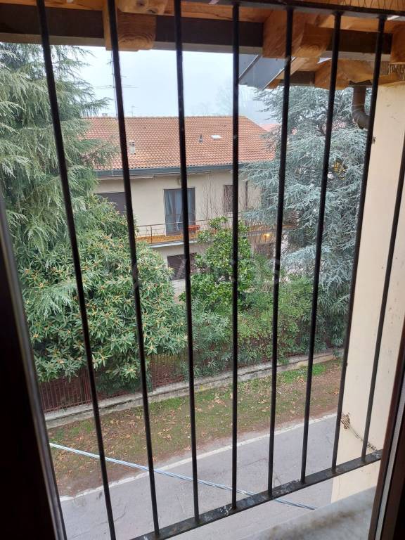 immagine annuncio 6 di 14