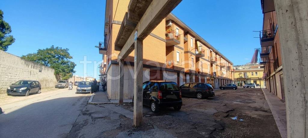 immagine annuncio 12 di 14