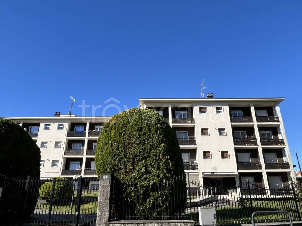 immagine annuncio 1 di 15