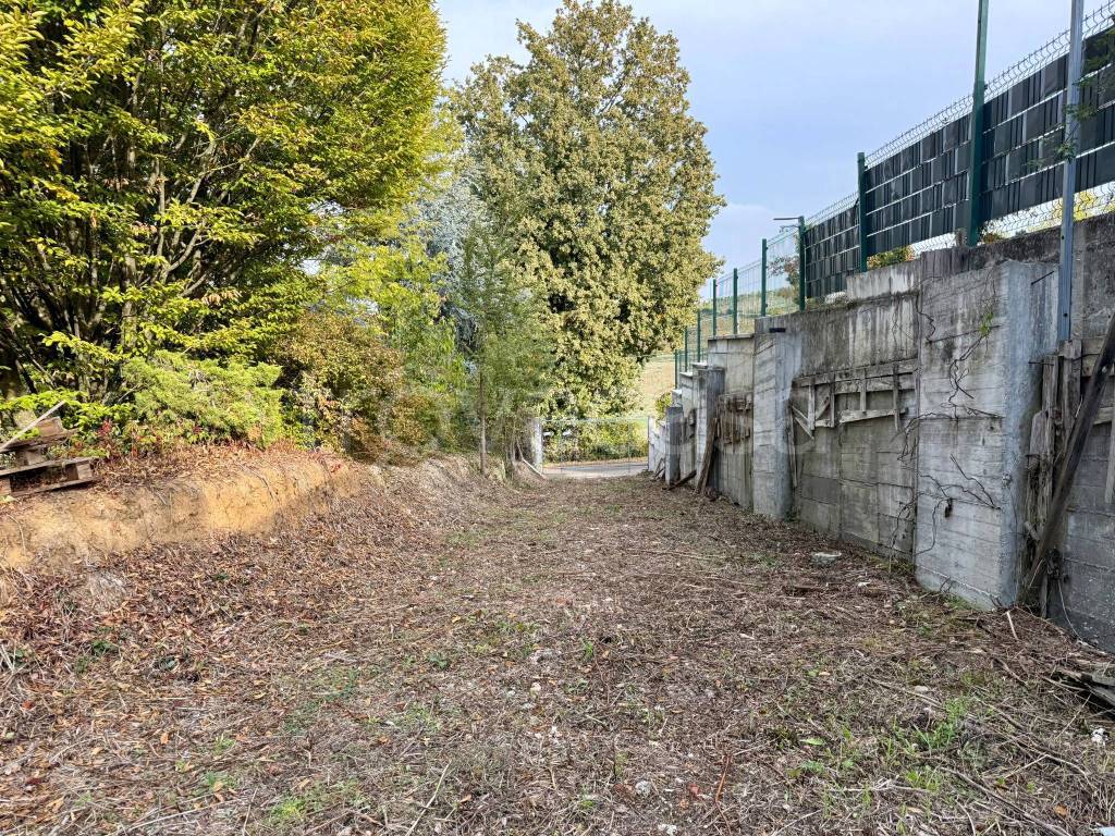 immagine annuncio 11 di 13
