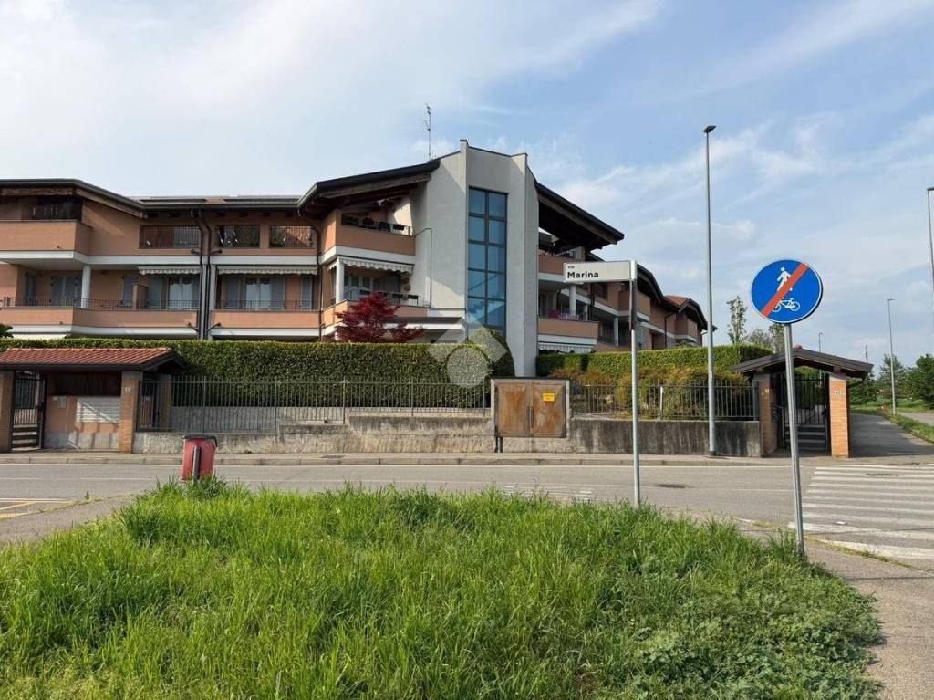 immagine annuncio 3 di 15