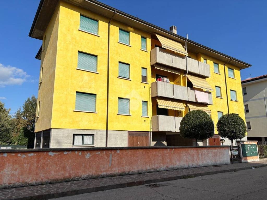 immagine annuncio 10 di 11