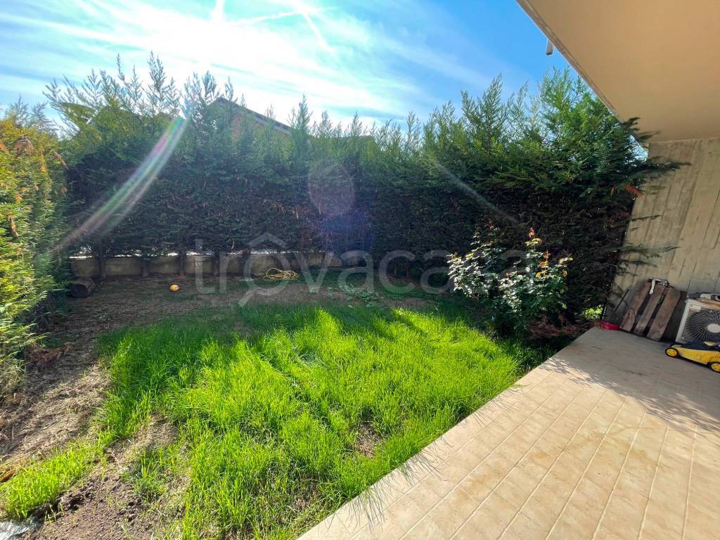 immagine annuncio 1 di 11