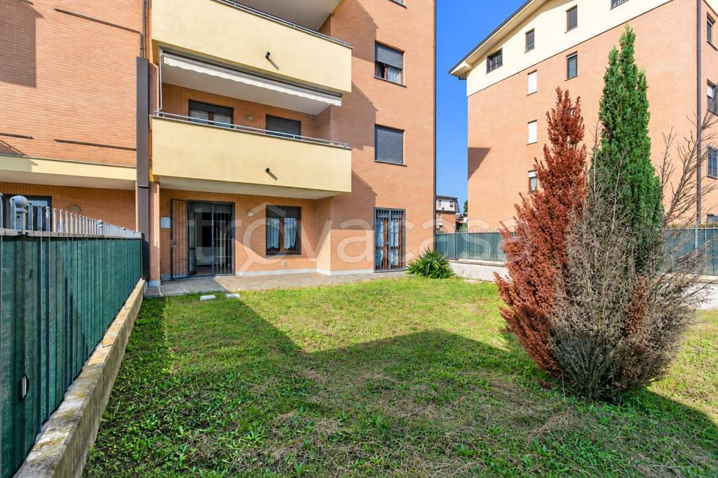immagine annuncio 8 di 15