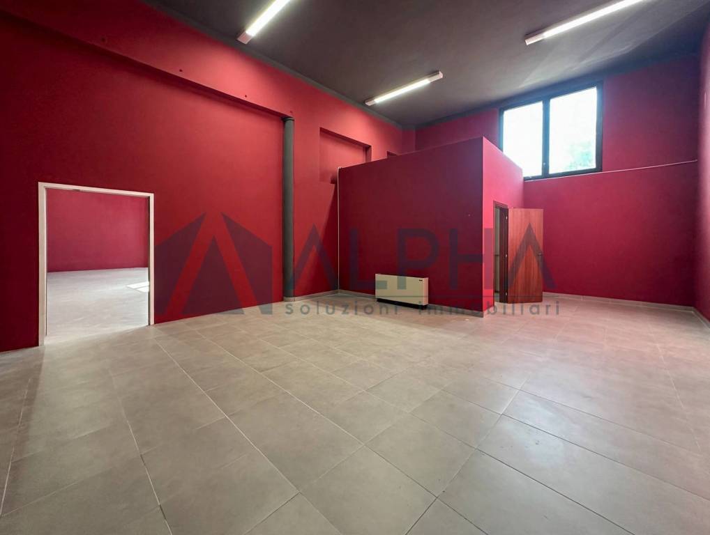 immagine annuncio 4 di 11
