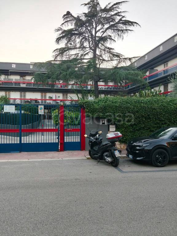 immagine annuncio 2 di 4
