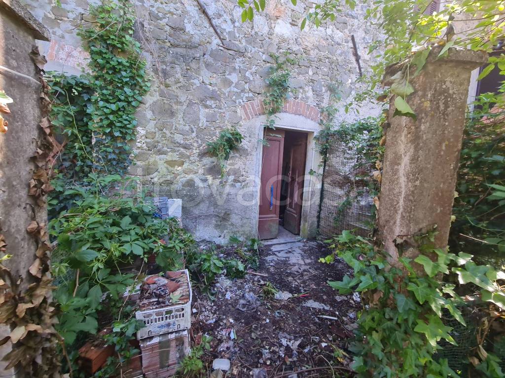 immagine annuncio 5 di 14