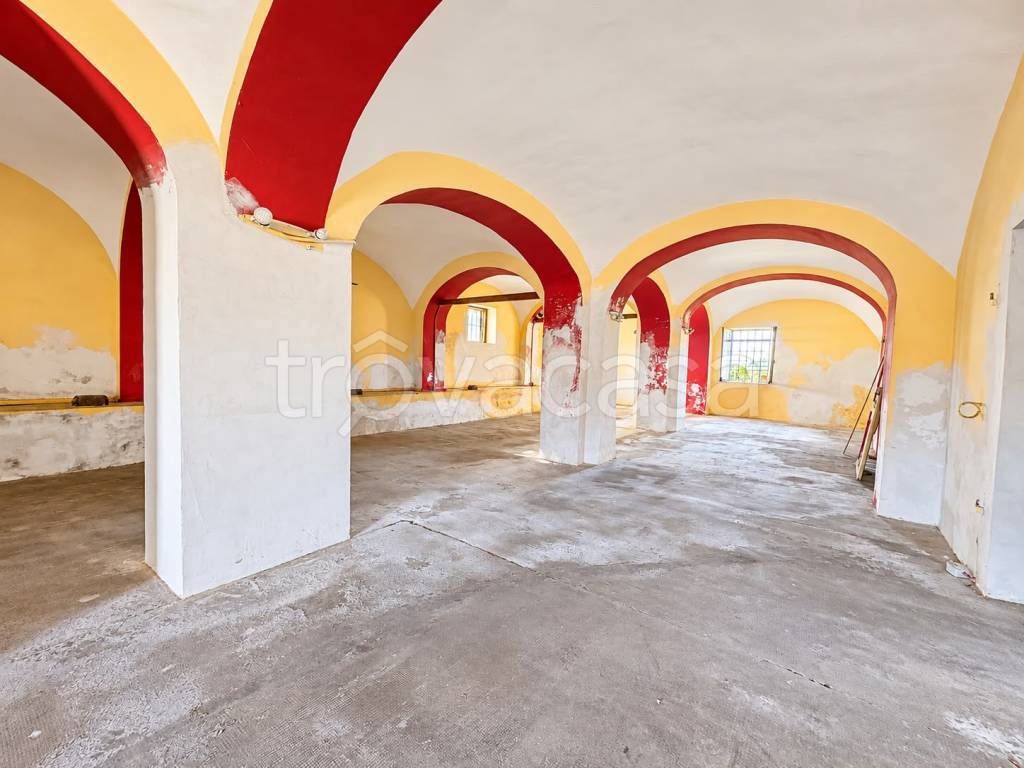 immagine annuncio 7 di 12