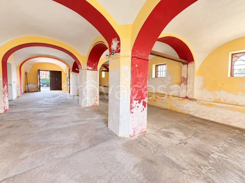 immagine annuncio 9 di 12