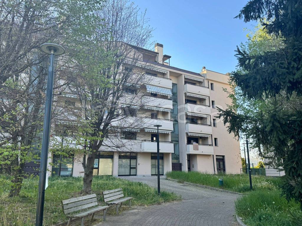 immagine annuncio 14 di 15