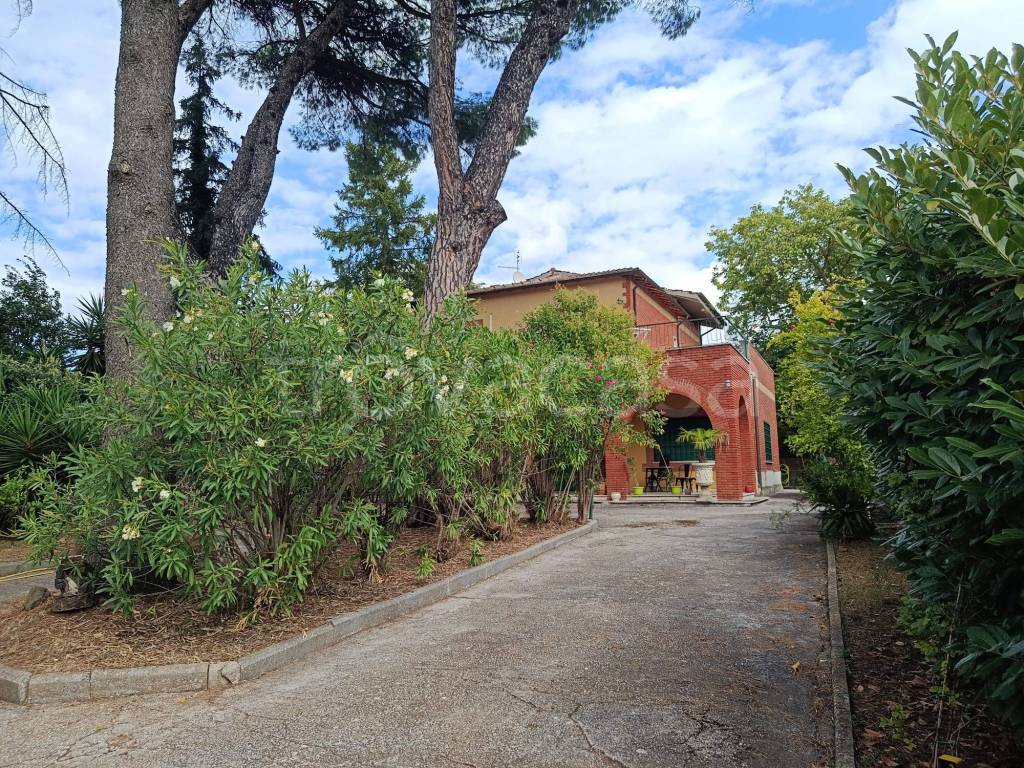 immagine annuncio 2 di 4