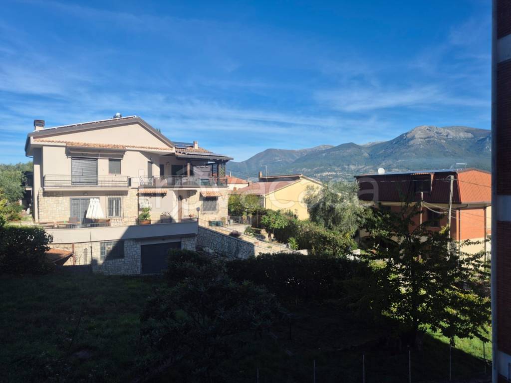immagine annuncio 9 di 11
