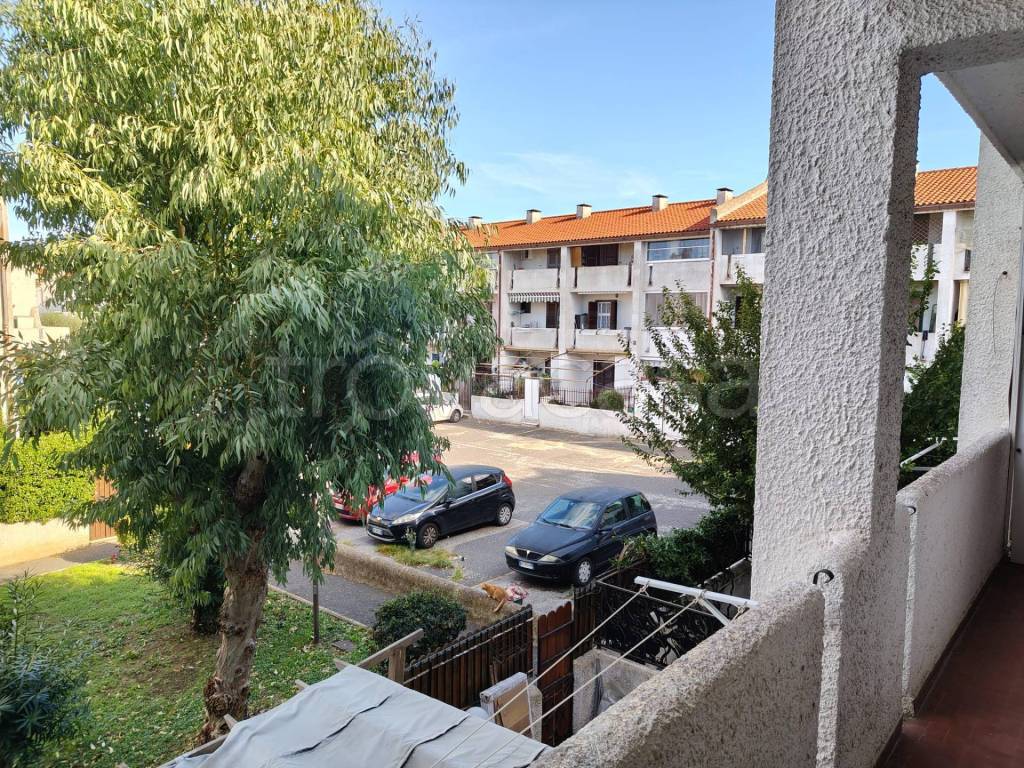 immagine annuncio 10 di 12