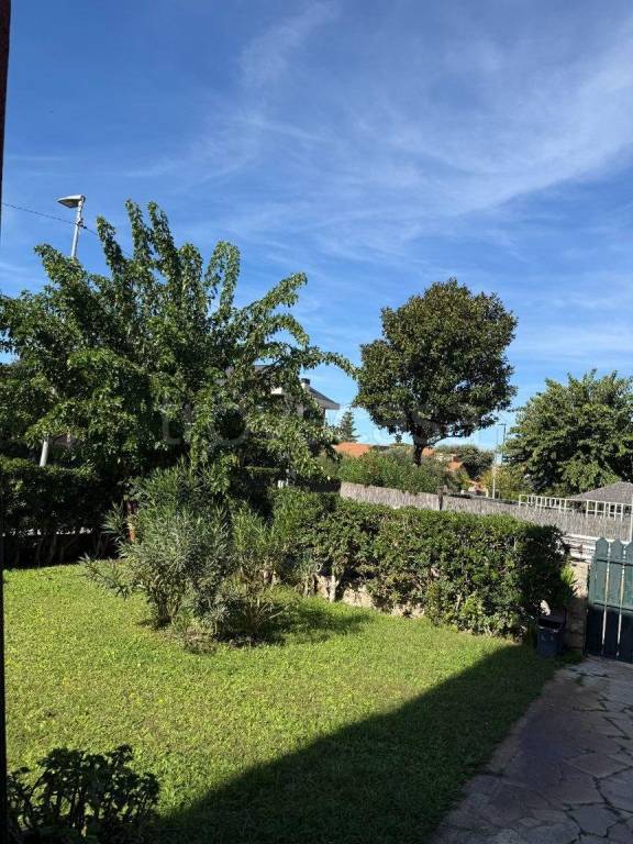 immagine annuncio 13 di 14