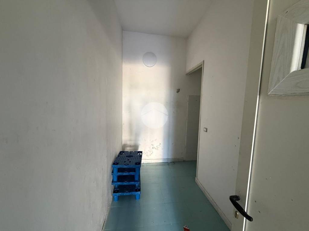 immagine annuncio 5 di 9