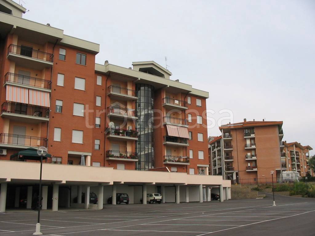 immagine annuncio 10 di 14