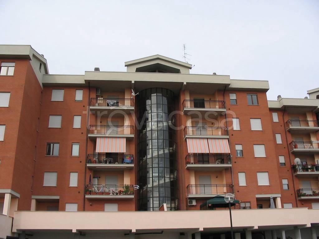 immagine annuncio 11 di 14