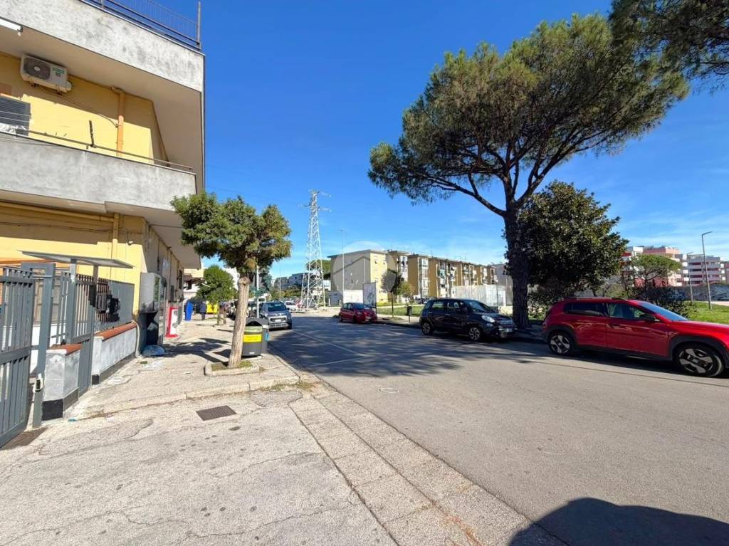 immagine annuncio 11 di 12