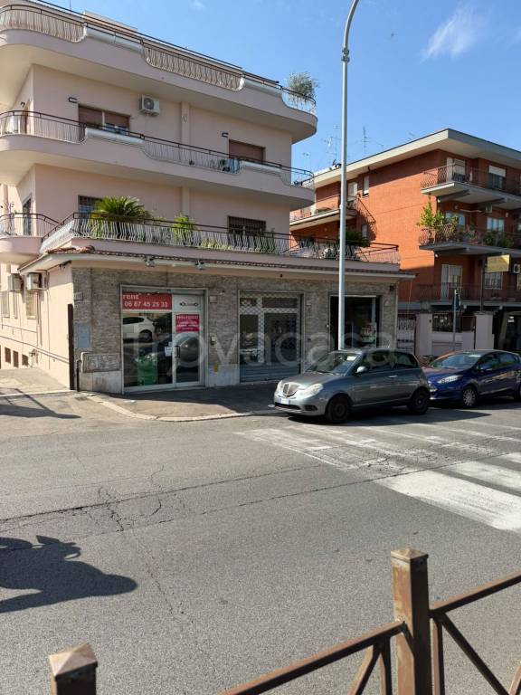 immagine annuncio 11 di 15
