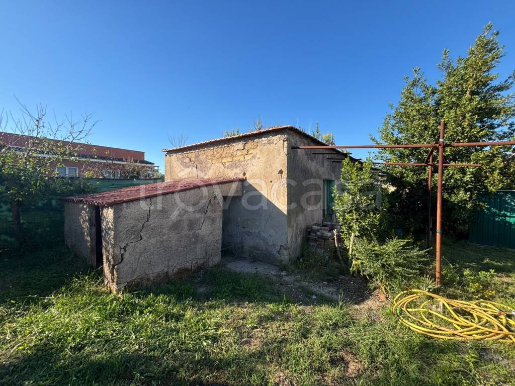 immagine annuncio 2 di 6