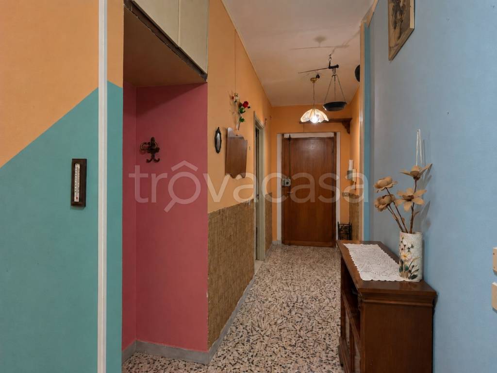 immagine annuncio 7 di 14